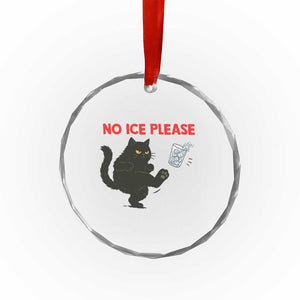 No Ice Please Crystal Glass Ornament Funny Black Cat Abolish ICE Meme Protest TS14 Print Your Wear