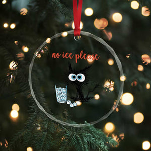 No Ice Please Crystal Glass Ornament Funny Black Cat Sarcastic Abolish ICE Meme TS14 Print Your Wear