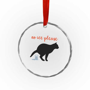 No Ice Please Crystal Glass Ornament Funny Cat Abolish ICE Meme TS14 Print Your Wear
