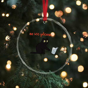 No Ice Please Crystal Glass Ornament Funny Cat Abolish ICE Meme Protest TS14 Print Your Wear