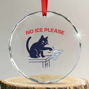 No Ice Please Crystal Glass Ornament Funny Cat Anti ICE Meme TS14 Transparent Glass 3'' Circle Print Your Wear