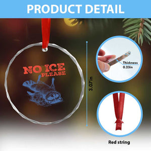 No Ice Please Crystal Glass Ornament Funny Raccoon Trash Panda Anti ICE Meme TS14 Print Your Wear