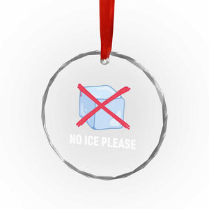 No Ice Please Crystal Glass Ornament Ice Cube Anti ICE Deportation Human Rights Protest TS14 Print Your Wear