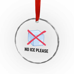 No Ice Please Crystal Glass Ornament Subtle Anti ICE Deportation Human Rights TS14 Print Your Wear