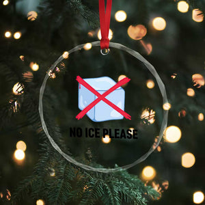 No Ice Please Crystal Glass Ornament Subtle Anti ICE Deportation Human Rights TS14 Print Your Wear