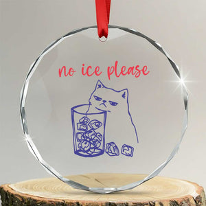 No Ice Please Funny Cat Meme Crystal Glass Ornament Subtle Against Ice Protest Political Resistance TS02 Transparent Glass 3'' Circle Print Your Wear