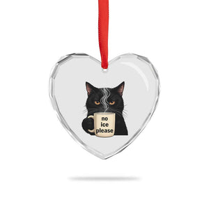 No Ice Please Heart Crystal Glass Ornament Funny Black Cat Anti ICE Meme TS14 Print Your Wear