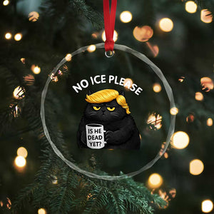 No ICE Protest Crystal Glass Ornament Is He Dead Yet Black Cat Meme TS10 Print Your Wear