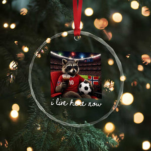 Norway Soccer Football Fan Norge Norwegian Flag Crystal Glass Ornament Funny Raccoon Drinking Iced Coffee