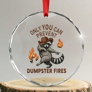 Only You Can Prevent Dumpster Fires Crystal Glass Ornament Funny Raccoon Sarcastic Humor TS14 Transparent Glass 3'' Circle Print Your Wear