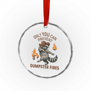 Only You Can Prevent Dumpster Fires Crystal Glass Ornament Funny Raccoon Sarcastic Humor TS14 Print Your Wear