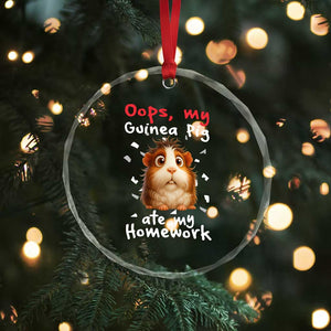 Oops My Guinea Pig Ate My Homework Crystal Glass Ornament Funny Cavy Lover Gift TS12 Print Your Wear