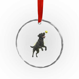 Playful Black Labrador Fetching Chasing Tennis Ball Crystal Glass Ornament TS12 Print Your Wear