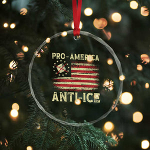 Pro American Anti Ice Crystal Glass Ornament Resist Protest Support Immigrants Refugee TS11 Print Your Wear