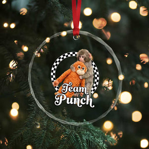 Punch Mokey Crystal Glass Ornament Baby Monkey And Plush Toy Viral Trend TS14 Print Your Wear