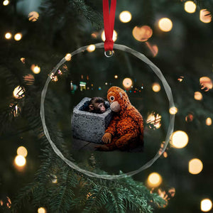 Punch Mokey Crystal Glass Ornament Viral Trend Baby Monkey Streets Meme TS14 Print Your Wear