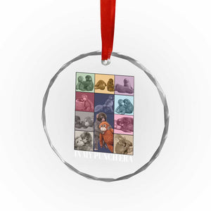 Punch The Monkey Crystal Glass Ornament In My Punch Era Baby Monkey Hugging Plush TS11 Print Your Wear