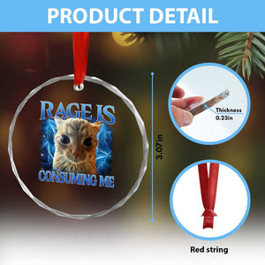 Rage Is Consuming Me Cat Meme Crystal Glass Ornament Funny Weird Humor Cat Face Bootleg TS10 Print Your Wear