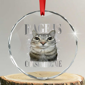 Rage Is Consuming Me Crystal Glass Ornament Funny Silly Cat Memes TS10 Transparent Glass 3'' Circle Print Your Wear