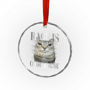 Rage Is Consuming Me Crystal Glass Ornament Funny Silly Cat Memes TS10 Print Your Wear