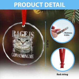 Rage Is Consuming Me Crystal Glass Ornament Funny Silly Cat Memes TS10 Print Your Wear