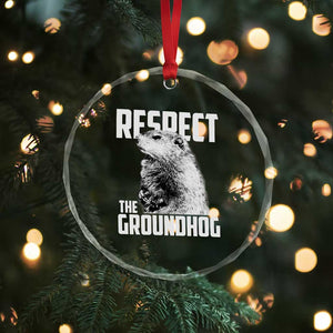 Respect The Groundhog Crystal Glass Ornament Funny Woodchuck Shadow Meteorlogy TS02 Print Your Wear