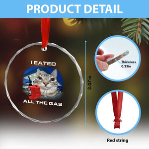 Sarcastic Cat Meme Crystal Glass Ornament Funny Retro I Eated All The Gas Gen Z Humor TS10 Print Your Wear