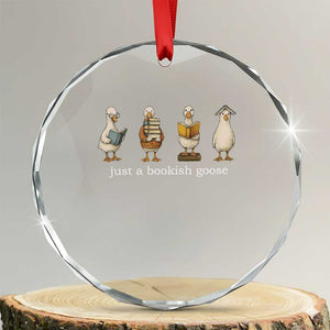 Silly Goose Book Club Crystal Glass Ornament Funny Bookish Book Lover TS14 Transparent Glass 3'' Circle Print Your Wear