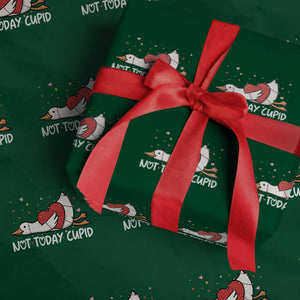 Silly Goose Valentine Wrapping Paper Roll Not Today Cupid TS14 Green Print Your Wear