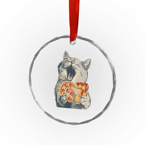 Six Seven Meme Cat 67 Pizza Nugget Crystal Glass Ornament Funny Gen Alpha 67 Trend Gift TS12 Print Your Wear