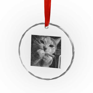 Smoking Cat Y2K Crystal Glass Ornament Vintage Grunge Cat Edgy Retro 90s Streetwear TS10 Print Your Wear