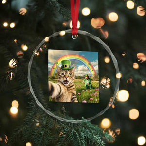 St Patricks Day Cat Selfie with Leprechaun Crystal Glass Ornament TS11 Print Your Wear