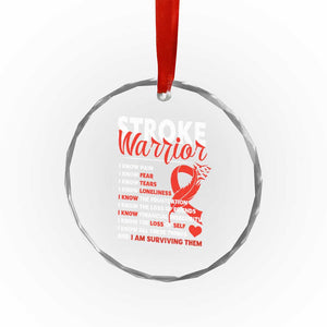 Stroke Warrior Crystal Glass Ornament I Know Pain Fear Feather Red Ribbon TS11 Print Your Wear