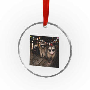 Support Local Street Cats Crystal Glass Ornament Funny Raccoon Skunk Possum Animal Meme TS10 Print Your Wear