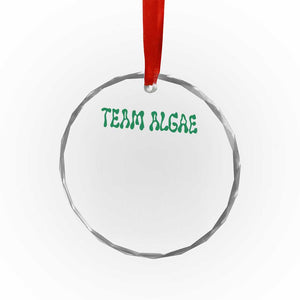 Team Algae Crystal Glass Ornament Political Satire Lincoln Reflecting Pool Midterm