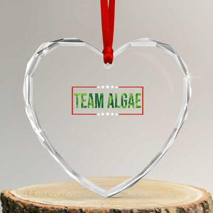 Team Algae Satire Heart Crystal Glass Ornament Funny Lincoln Memorial Reflecting Pool Meme Parody