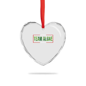 Team Algae Satire Heart Crystal Glass Ornament Funny Lincoln Memorial Reflecting Pool Meme Parody