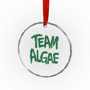 Team Algae Slime Dripping Style Graphic Crystal Glass Ornament Viral Lincoln Memorial Reflecting Pool Swamp Meme