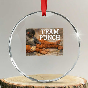 Team Punch Baby Monkey Plush Hugging Meme Crystal Glass Ornament TS11 Transparent Glass 3'' Circle Print Your Wear
