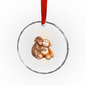 Team Punch Cute Baby Monkey Hugging Plush Toy Graphic Crystal Glass Ornament TS02 Print Your Wear