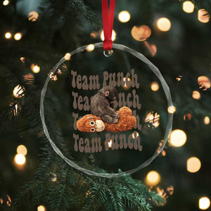 Team Punch Monkey Crystal Glass Ornament Baby Monkey And Plush Toy Viral TS14 Print Your Wear