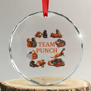 Team Punch Monkey Crystal Glass Ornament Viral Baby Monkey Meme TS14 Transparent Glass 3'' Circle Print Your Wear