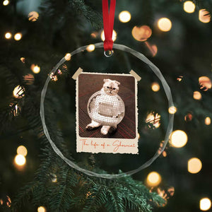 The Life Of A Showcat Crystal Glass Ornament Funny Vintage Photo Cat Era TS10 Print Your Wear