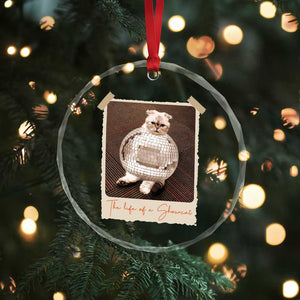 The Life Of A Showcat Crystal Glass Ornament Funny Vintage Photo Cat Era TS10 Print Your Wear