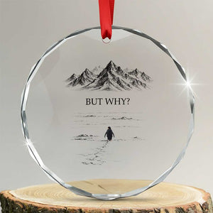 The Nihilist Penguin But Why Meme Crystal Glass Ornament Existential Moody Quiet Thinkers TS02 Transparent Glass 3'' Circle Print Your Wear