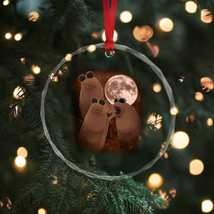Three Marcus The Worm Moon Crystal Glass Ornament Funny Weird Cursed Meme TS11 Print Your Wear