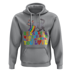 Funny LGBT Cat Hoodie Be Careful Who You Hate Could Be Someone You Love Gay Pride Flag TS02 Sport Gray Printyourwear