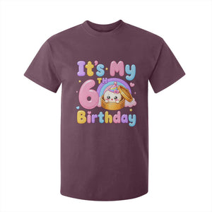 Its My 6th Birthday Kawaii Glitter Dumpling Graphic T Shirt For Kid Cute 6 Years Old Rainbow Bday Girl Party