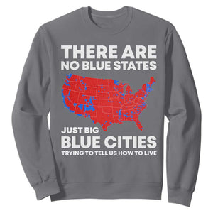 American Republican 2024 Sweatshirt There Are No Blue States Only Big Blue Cities America Map TS02 Charcoal Print Your Wear