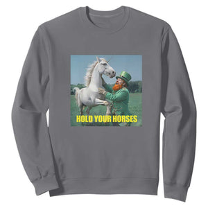 Funny Leprechaun Hold Your Horse Sweatshirt Unicorn St Patrick's Day TS02 Charcoal Print Your Wear